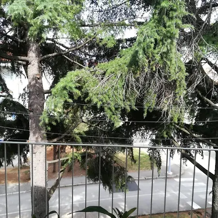 Apartment Bono *